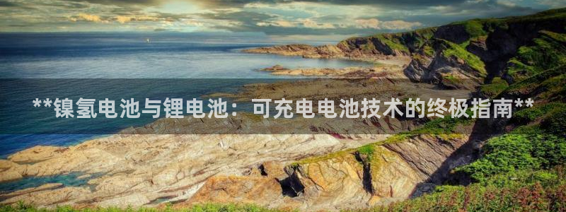 尊龙凯时提不了款