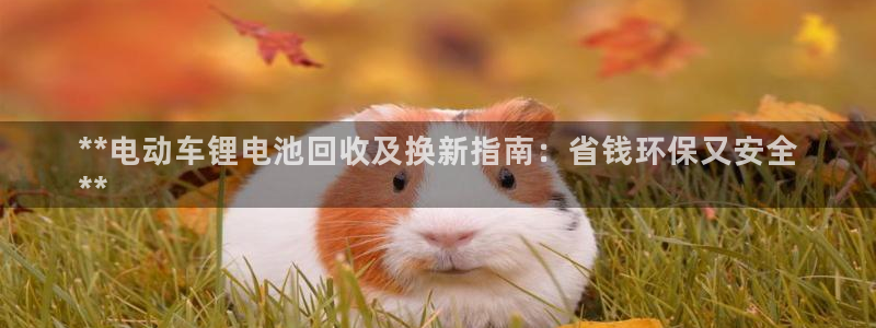 尊龙网站 人生就是博