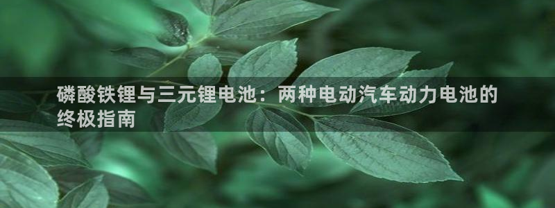 尊龙凯时始人生就是博