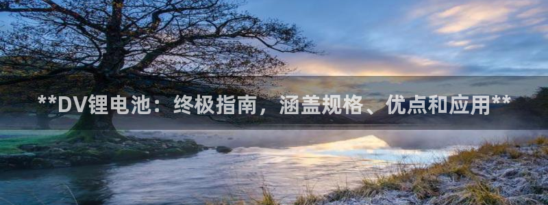尊龙凯时官网入口