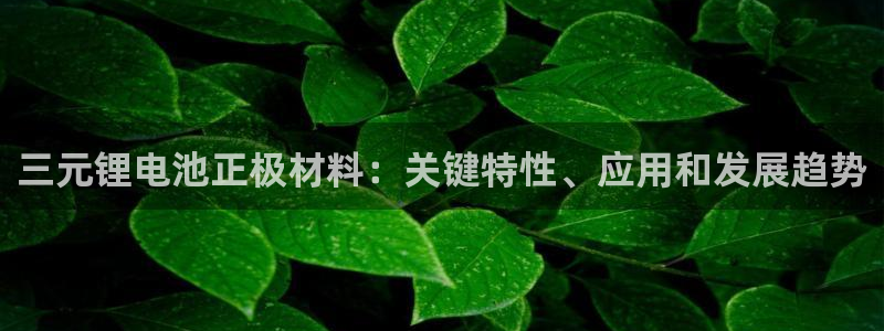 尊龙实业