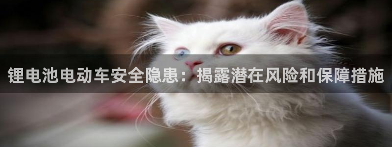 AG尊龙登陆网址