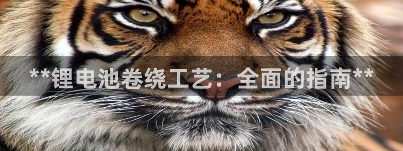 尊龙凯时人生就博官网