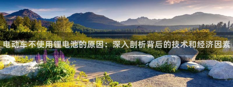 尊龙凯时的最新消息