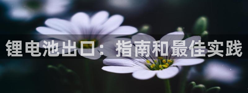 尊龙手机版