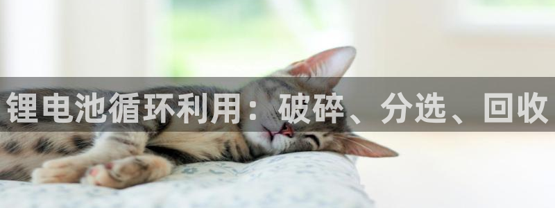 尊龙实业