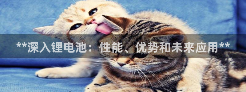 尊龙网址是选访问zd207