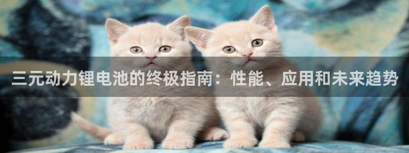 尊龙人生就是博用现金玩一下
