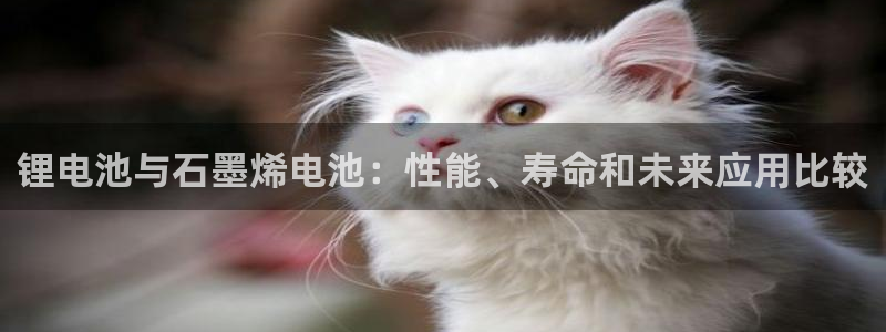 尊龙人生就是博i可靠吗