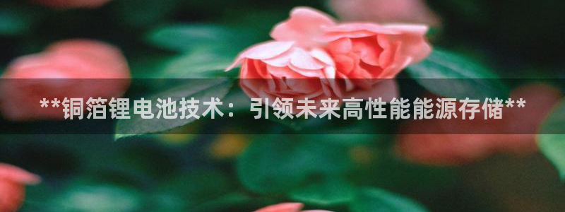 尊龙体育正规么