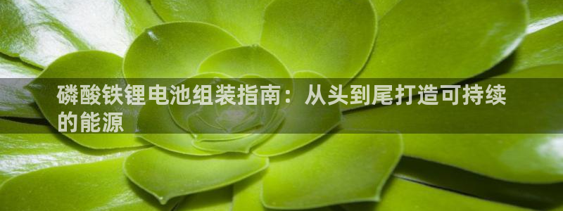 尊龙ag旗舰厅登陆
