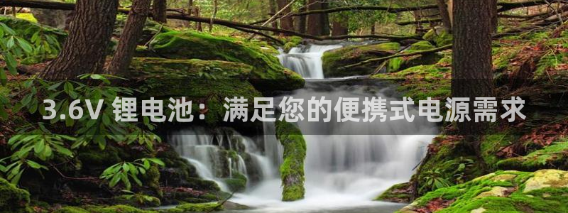 尊龙凯时人生就是博·(中国)官网最新