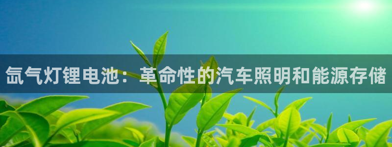 凯时官网手机版首页