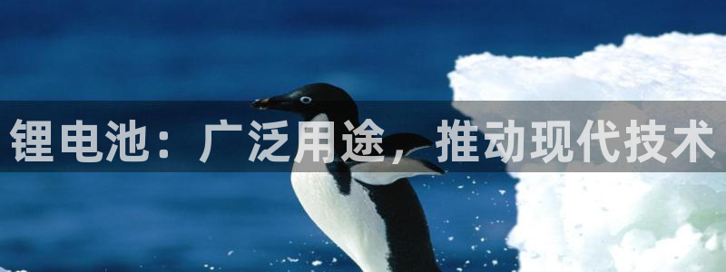 尊龙官网