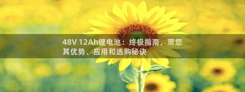 尊龙凯时·中国官方网站