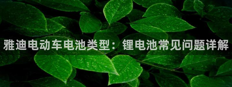 尊龙凯时老板是谁