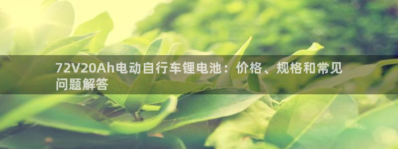 尊龙公司
