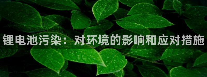凯时国际平台有人赢吗