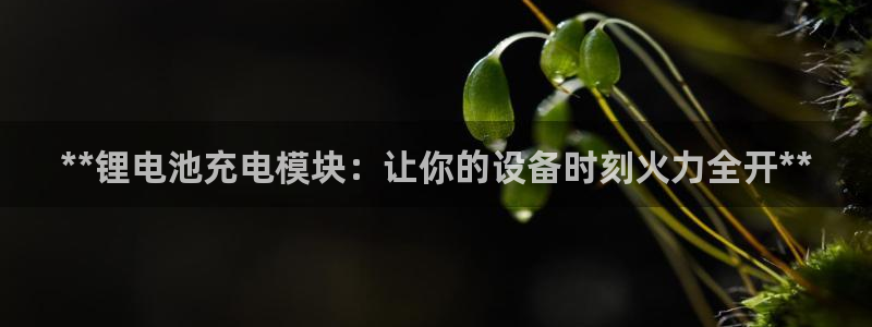 凯时国际官方版