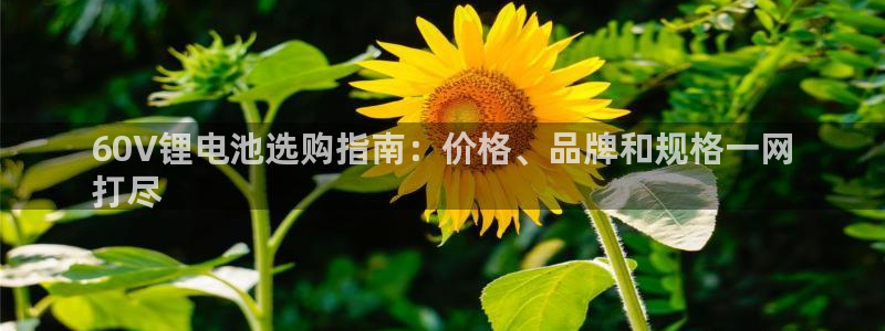 尊龙凯时·中国官方网站