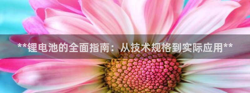 尊龙人生就是傅官网
