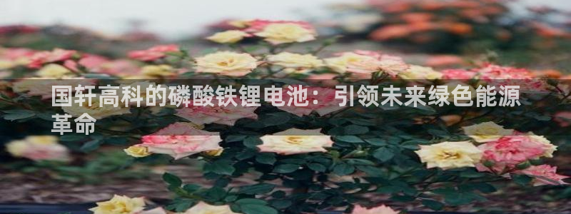 尊龙凯时网站是什么地方人开的