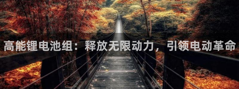 尊龙服饰品牌介绍
