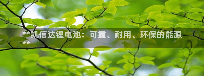 尊龙凯时提现不了