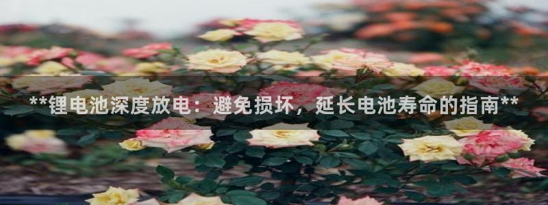 凯时是AG优质运营商