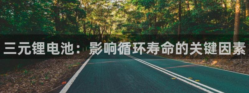 尊龙信息科技有限公司