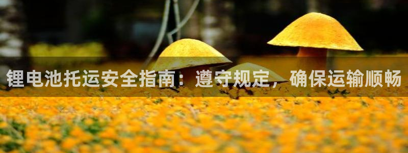 尊龙公司