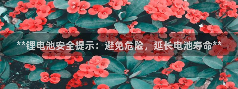 尊龙凯时老板