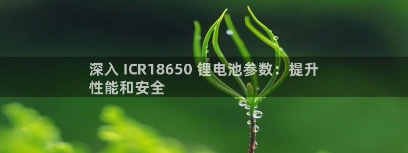 d88尊龙官网手机app