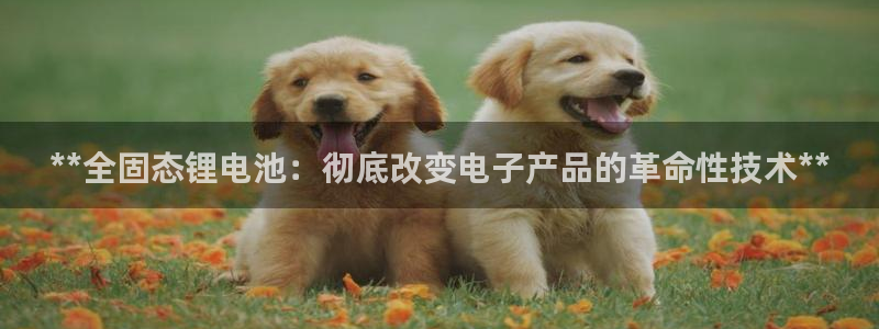 尊龙凯时输钱的原因
