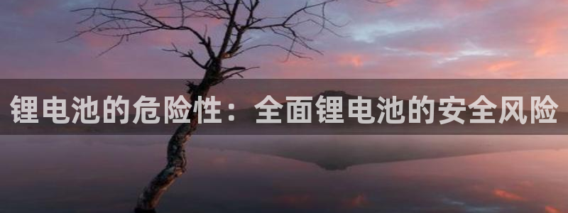 K66凯时国际平台官网：锂电池的危险性：