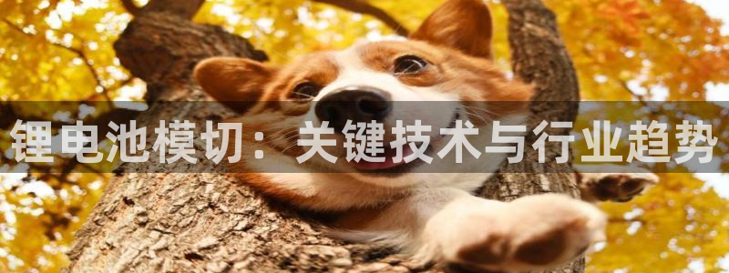 尊龙凯时防屏蔽网址