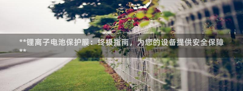 尊龙凯时人生就是搏技术实力