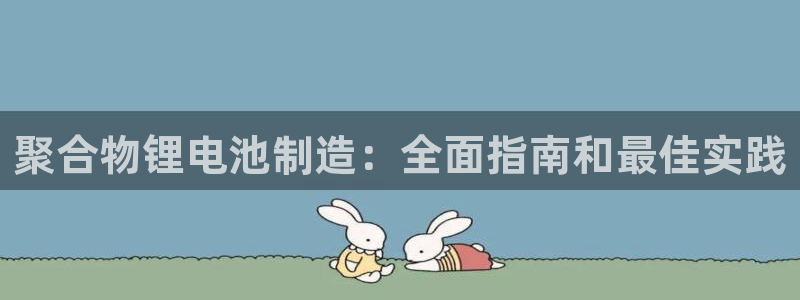 尊龙人生就是博下载：聚合物锂电池制造：全面指南和最佳实践