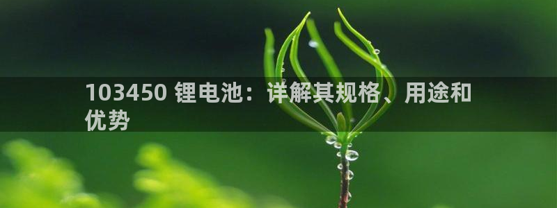 尊龙手机官方客户端下载安卓：103450 锂电池：详解其规格、用途和
优势