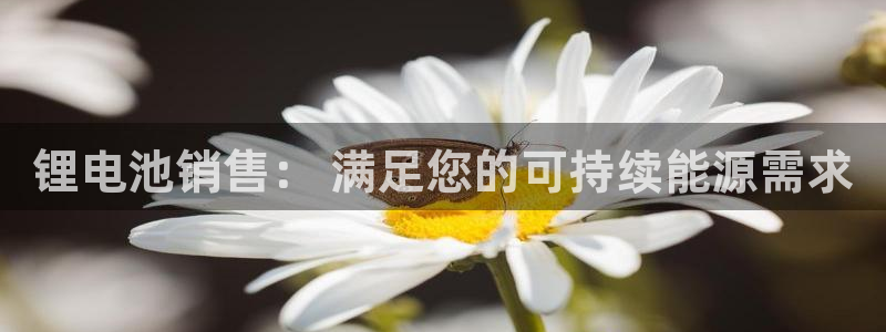 尊龙凯时代理