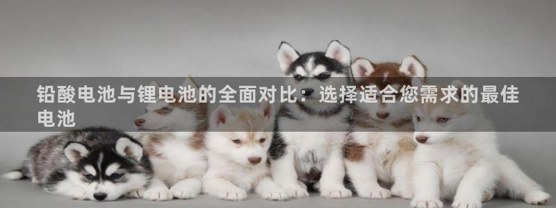 尊龙凯时人生就是搏官