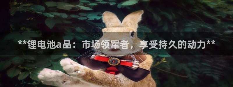 尊龙凯时白家乐Abb下载