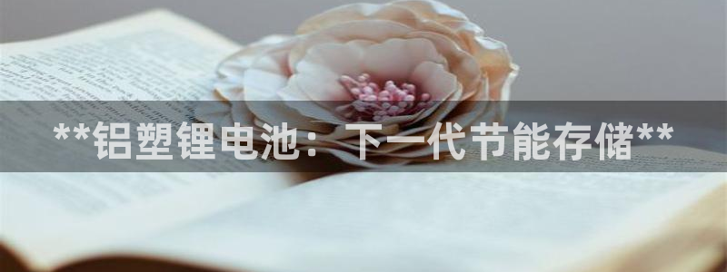 尊龙人生就是博AG旗舰厅：**铝塑锂电池：下一代节能存储**