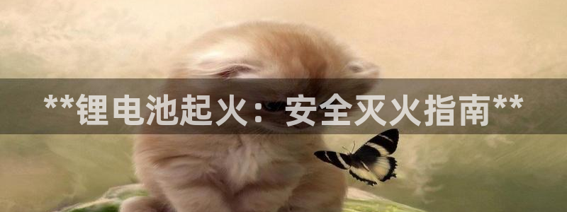 尊龙凯时 - 人生就是搏手机登录：**锂电池起火：安全灭火指南**