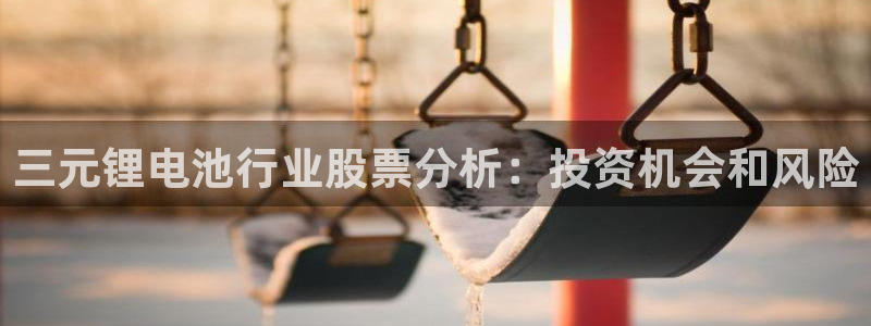 旧版尊龙人生就是博下载：三元锂电池行业股票分析：投资机会和风险