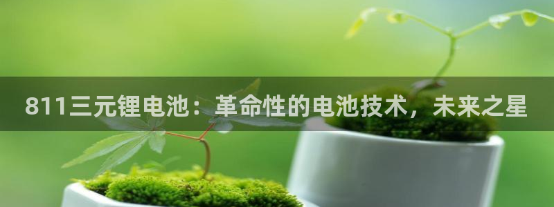 尊龙凯时国际：811三元锂电池：革命性的电池技术，未来之星