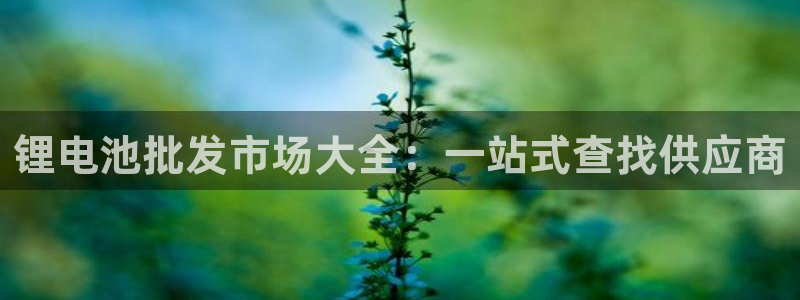 尊龙凯时平台还是万博好：锂电池批发市场大全：一站式查找供应商