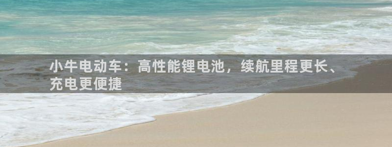 尊龙凯时app官网：小牛电动车：高性能锂