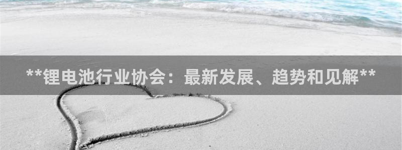 新版尊龙99：**锂电池行业协会：最新发展、趋势和见解**