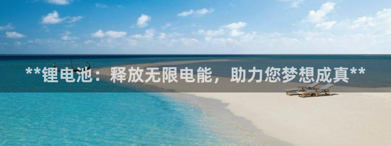 尊龙一人生就是博尊：**锂电池：释放无限电能，助力您梦想成真**